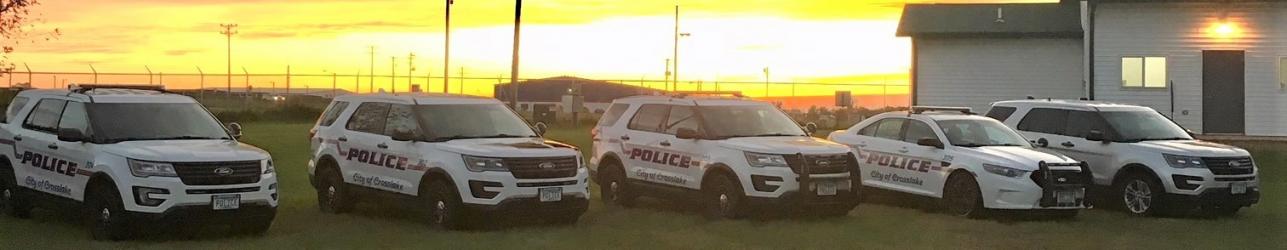 A row of police cars in front of a sunset.
