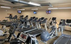 Treadmills, elliptical's and a stair stepper all in a row with cables machines placed behind