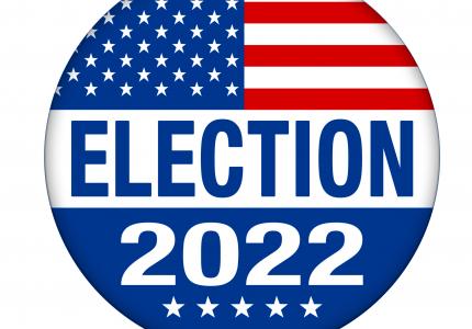 2022 Election Icon