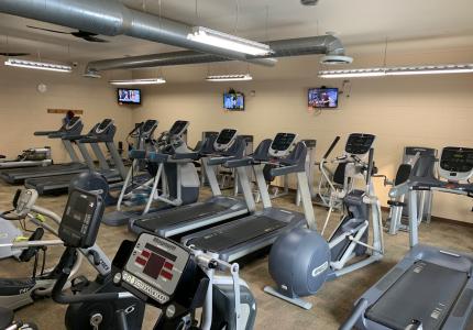 Treadmills, elliptical's and a stair stepper all in a row with cables machines placed behind