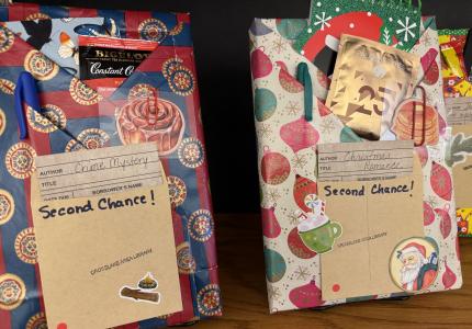 Second Chance books on sale now!