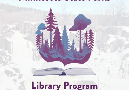 Winter Minnesota State Park Pass