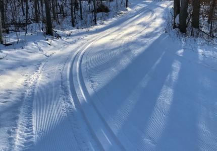 Groomed Ski Trail