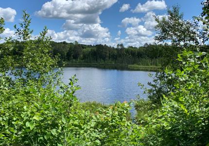 View of Cranberry Lake