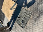 Pouring concrete footing for the basketball hoop