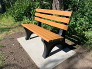 Memorial Bench