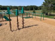 Swing Set and Tree Climbers